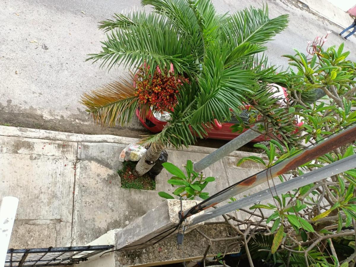 Colibri Apartment Playa del Carmen Bagian luar foto